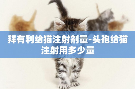 拜有利给猫注射剂量-头孢给猫注射用多少量